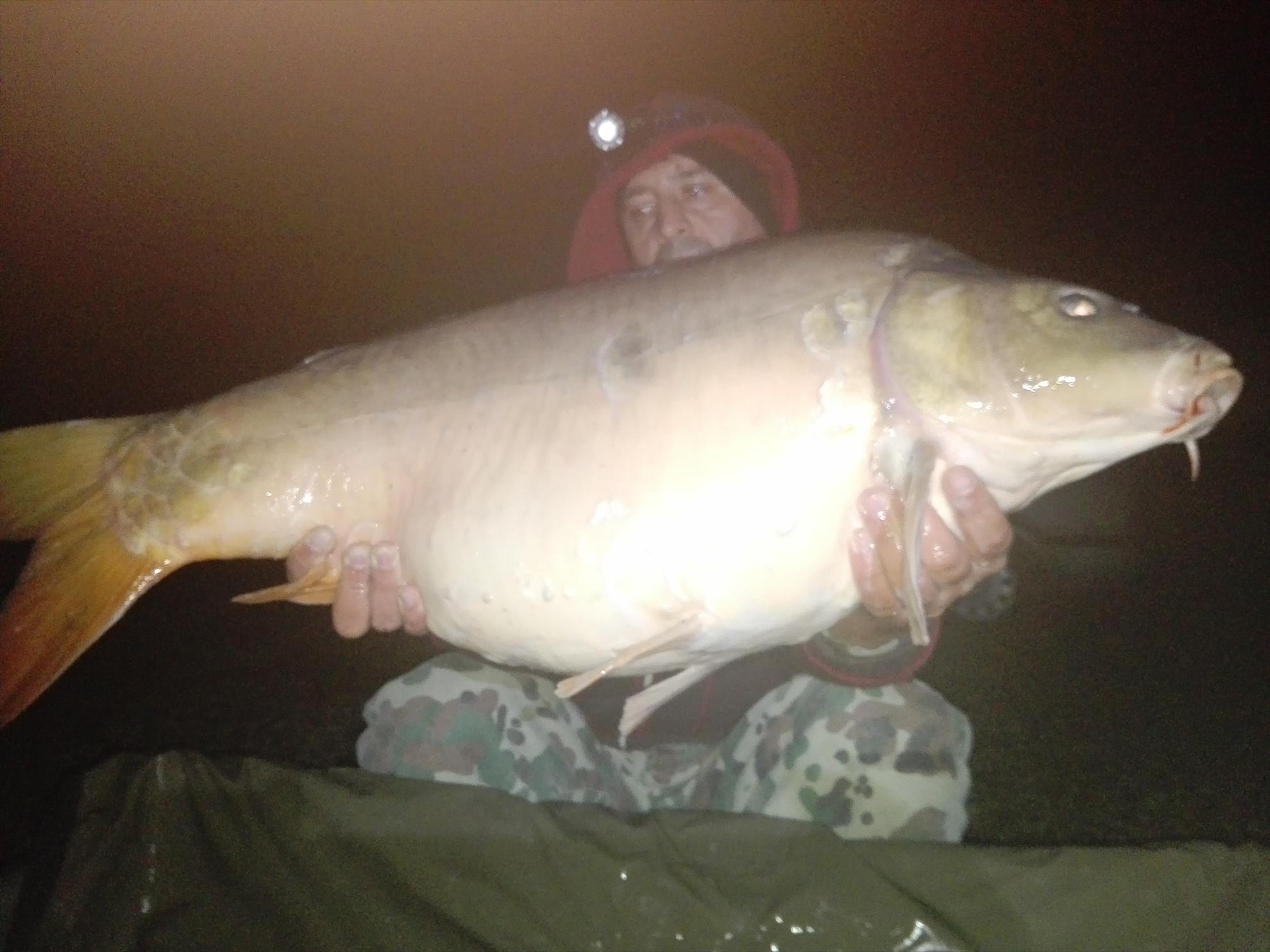 1-5 Octombrie Cetariu - img20161004040339.jpg